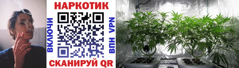 Наркошоп купить Cocaine  АМФ  СК  МДМА  Мефедрон  ГАШИШ  Сосновоборск