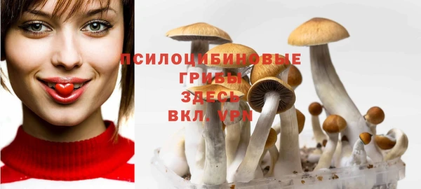 твердый Коряжма