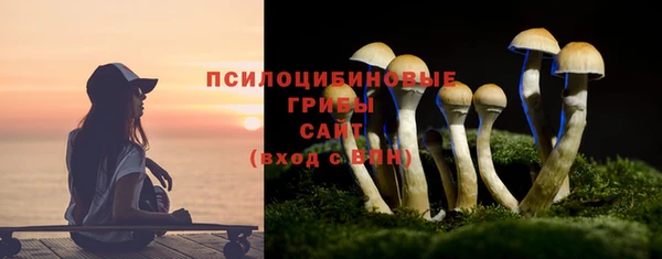 COCAINE Краснослободск