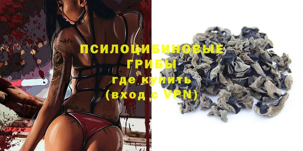 твердый Коряжма