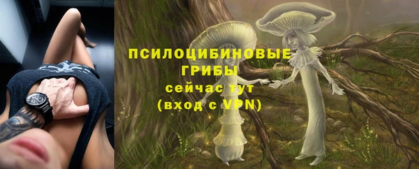 марки nbome Красноперекопск