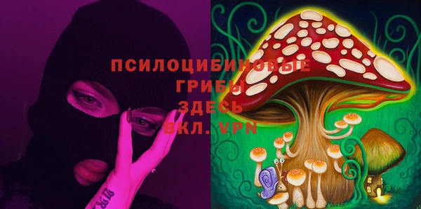 твердый Коряжма