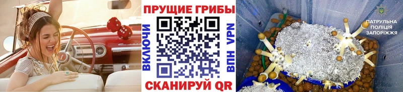 Купить  Сосновоборск  Галлюциногенные грибы Magic Shrooms 